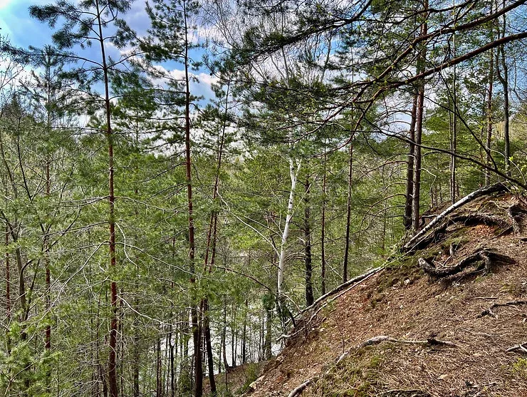 Góra Barcza, fot. Andrzej Jóźwiak